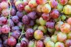 Grapes close-up. Art Print